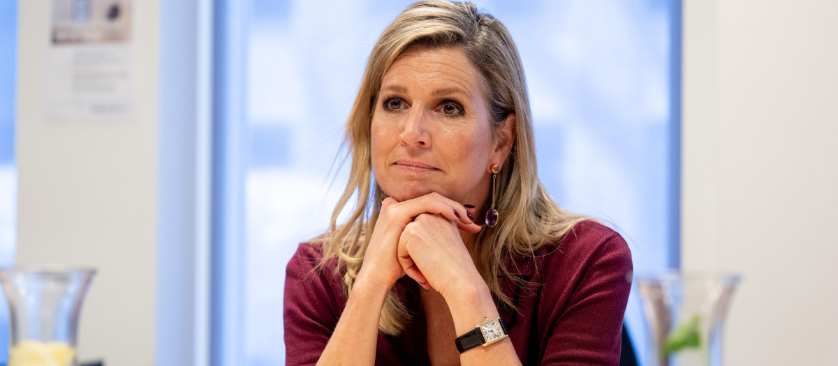 Point de Vue Out
Mandatory Credit: Photo by Shutterstock (15381588ae)
Queen Maxima during a working visit to the Radboudumc hospital in Nijmegen.
Queen Maxima brings working visit to the Radboudumc hospital. Nijmegen, the Netherlands. 01 Jul 2025 *** Local Caption *** .