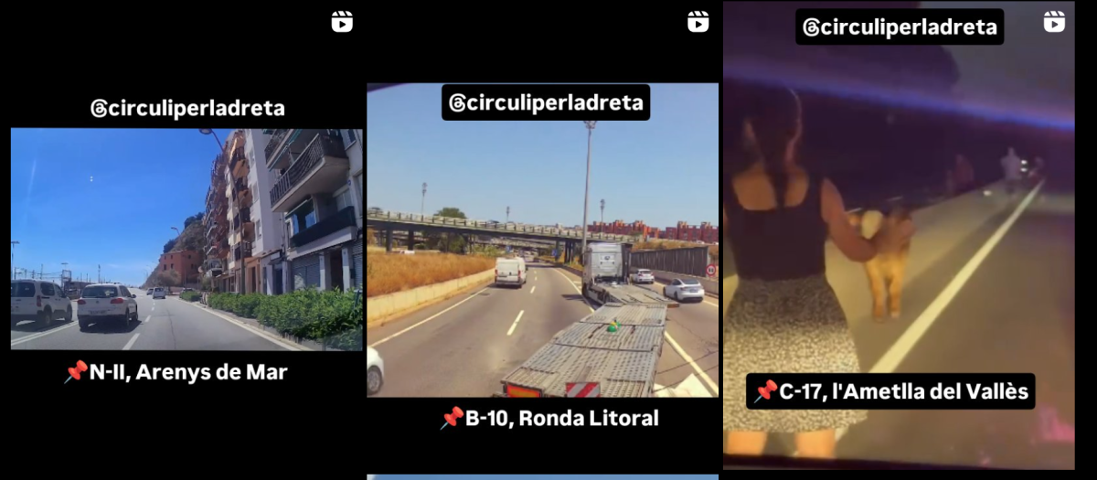 Feed Instagram circuliperladreta