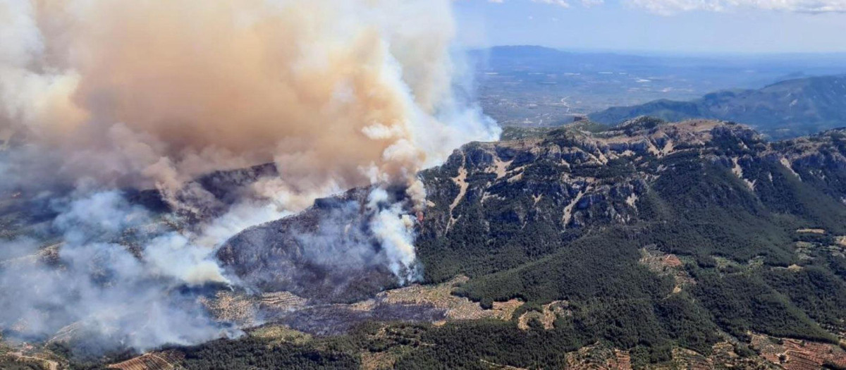 El incendio forestal de Paüls (Tarragona)