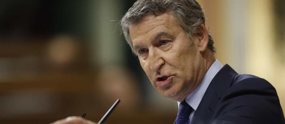 El líder del PP, Alberto Núñez Feijóo, durante su intervención en el Congreso