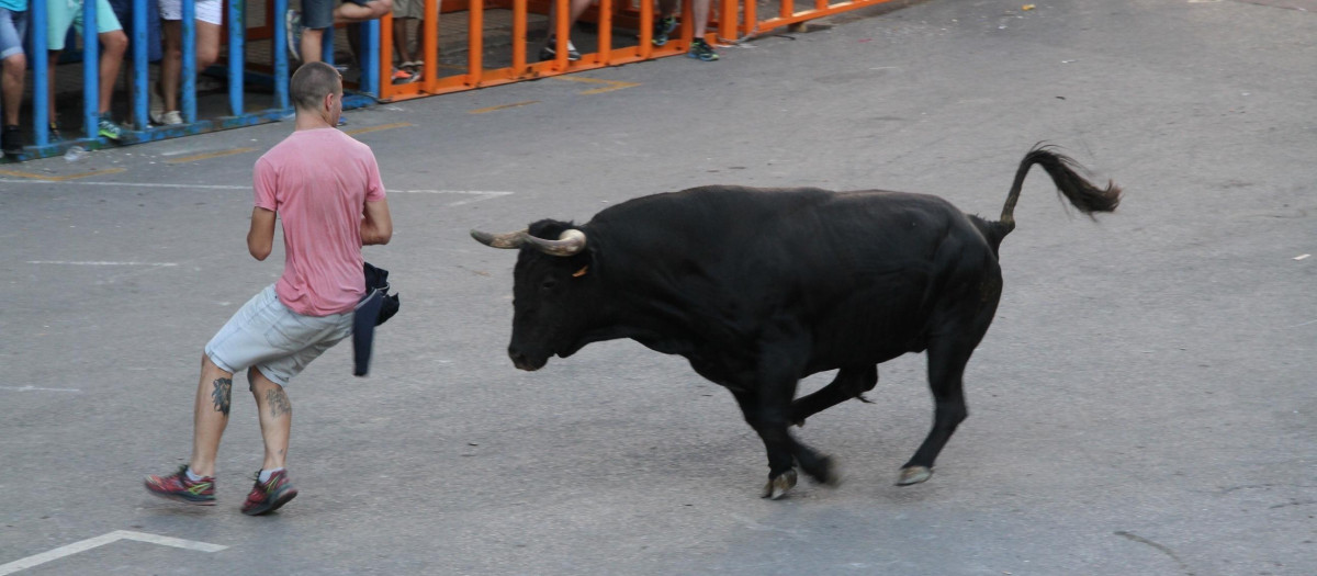 Imagen de un festejo taurino en una localidad de la provincia de Castellón