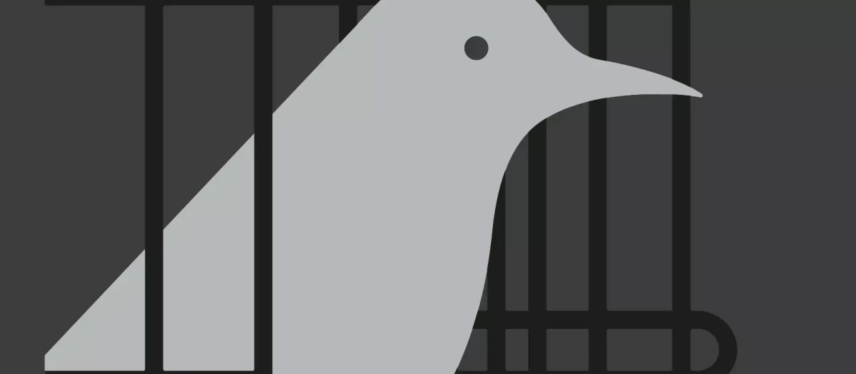 Cubierta de 'Una jaula salió en busca de un pájaro'