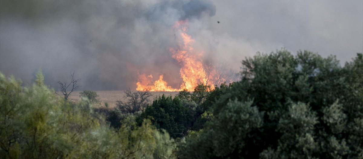 Vista del incendio, a 17 de julio de 2025, en Navalcarnero, Madrid (España). Un incendio originado hoy en la localidad toledana de Méntrida, limítrofe con la Comunidad de Madrid, ha pasado a situación operativa Nivel 2 por posible afección a bienes de naturaleza no forestal e infraestructuras, según apunta el Plan Infocam en su cuenta de X. Por su parte, el Sistema de Información de Incendios Forestales del Gobierno de Castilla-La Mancha refleja que el fuego comenzaba a las 15.02 horas de este jueves, tras ser detectado por un vigilante fijo. En la extinción de las llamas están trabajando en estos momentos un total de 19 medios y 66 personas, concretamente 7 medios aéreos, con ocho personas; diez medios terrestres, con 41 personas, 2 medios de dirección y coordinación, con cinco personas; y 12 personas más de personal interno.

A. Pérez Meca / Europa Press
17 JULIO 2025;FUEGO;INCENDIO;INFOCAM;NIVEL 2;
17/7/2025