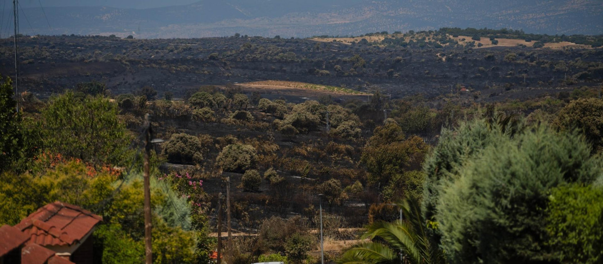 Vista general de la urbanización Calypo, afectada por el incendio originado ayer en Méntrida, a 18 de julio de 2025, en Casarrubios del Monte, Toledo, Castilla-La Mancha (España). La Unidad Militar de Emergencias (UME) continúa activada realizando labores de extinción del incendio originado ayer en la localidad toledana de Méntrida, y que se ha extendido hasta llegar al municipio de Navalcarnero, al suroeste de la Comunidad de Madrid. Lo hace con 123 militares, 43 vehículos y tres drones, llevando a cabo durante la noche misiones de ataque directo al fuego, que se encuentra ya perimetrado aunque sigue en fase de control, habiéndose extendido a más de 3.000 hectáreas entre Castilla-La Mancha y la Comunidad de Madrid. En el caso de Madrid, la urbanización Calypo de Navalcarnero fue desalojada.
Mateo Lanzuela / Europa Press
18 JULIO 2025;INCENDIO;MÉNTRIDA;FASE;CONTROL;HECTÁREAS
18/7/2025