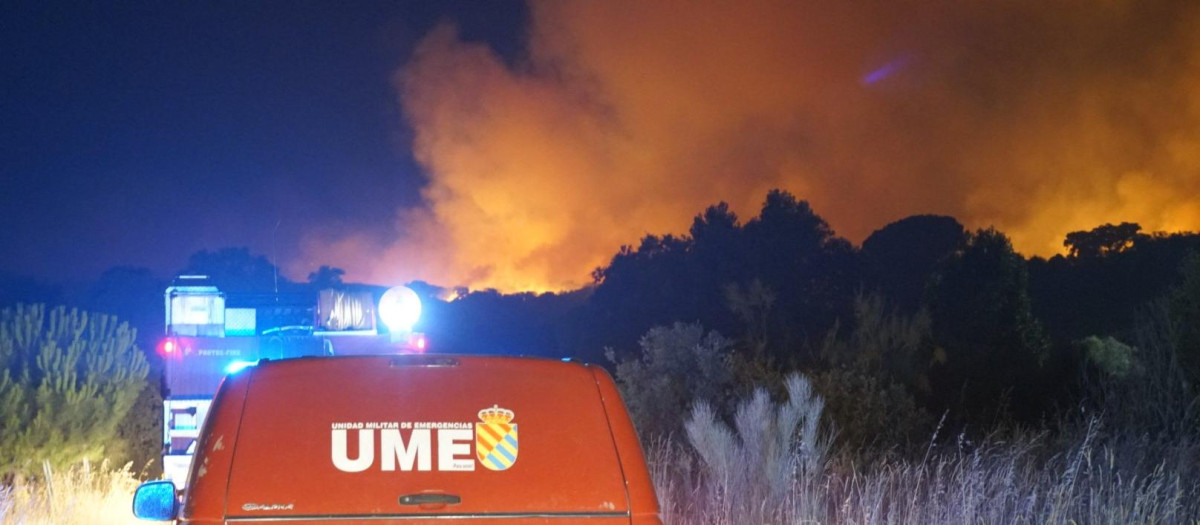 Unidades militares trabajaron en el incendio de Valdeluenga (Ávila)
