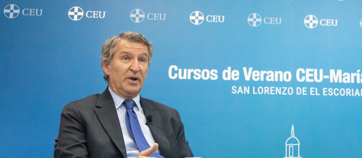 El presidente del PP, Alberto Núñez Feijóo