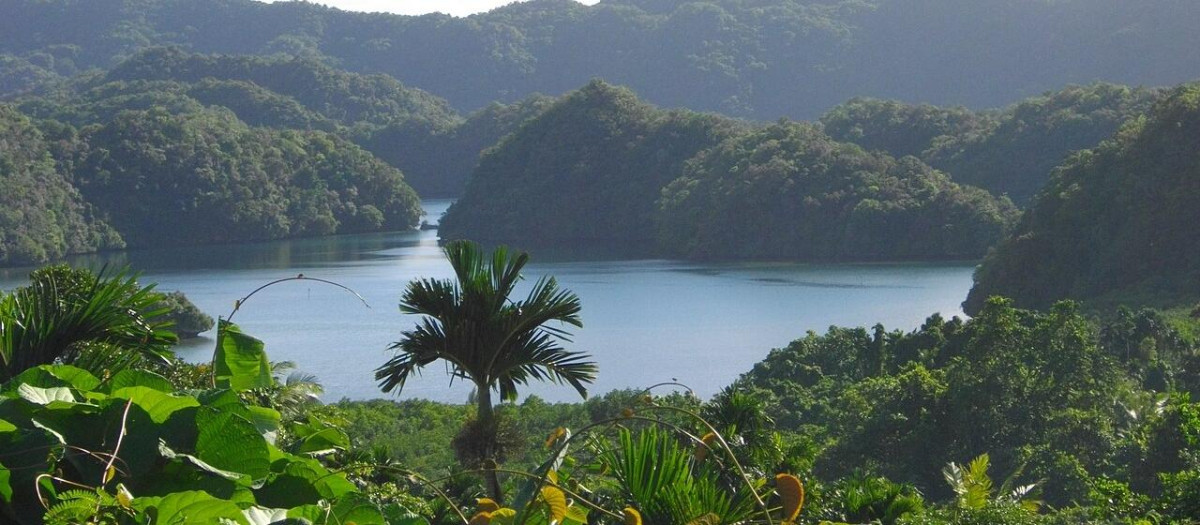 Bahía de Iwayama, Palaos