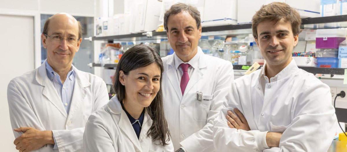 los doctores Fernando Lecanda, Karmele Valencia y Rafael Martínez Monge, del grupo de Adhesión y Metástasis del Cima, con el Dr. Borja Ruiz-Fernández de Córdoba, autor también del trabajo e investigador postdoctoral en la Universidad de California en San Francisco