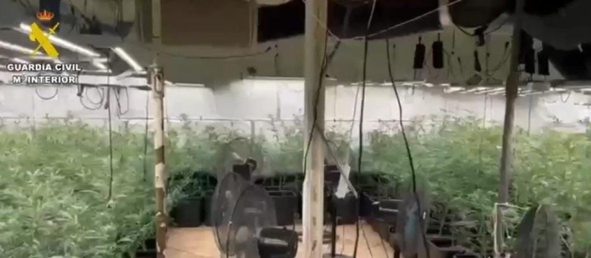 Operación BORROMEO EXPRESS

REMITIDA / HANDOUT por GUARDIA CIVIL
Fotografía remitida a medios de comunicación exclusivamente para ilustrar la noticia a la que hace referencia la imagen, y citando la procedencia de la imagen en la firma
25/7/2025