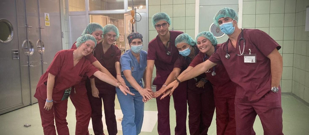 Veterinarios de la Universidad Complutense tras la operación