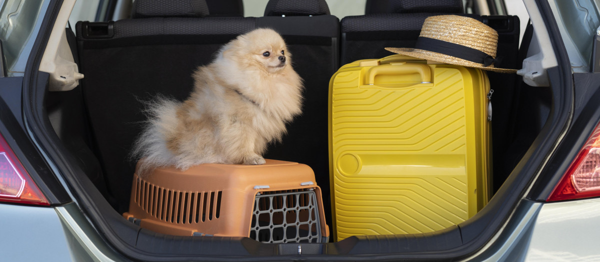 persona que viaja con su mascota y transportin