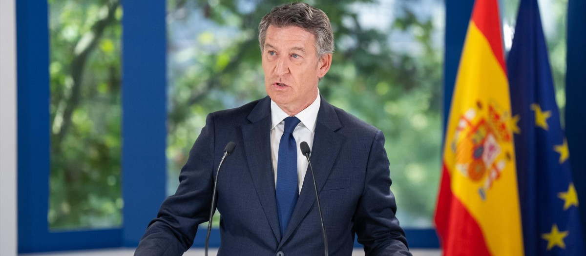 El líder del PP, Alberto Núñez Feijóo