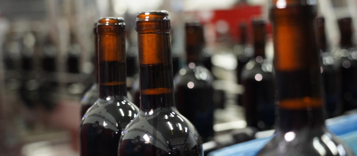 Botellas de vino de la DO La Mancha