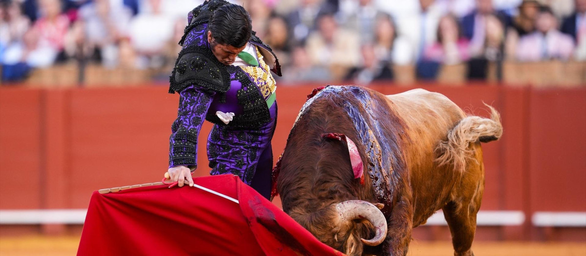 (Foto de ARCHIVO)
El torero, Morante de la Puebla, a 9 de mayo de 2025 en Sevilla (Andalucía, España). Morante de la Puebla, Daniel Luque y Tomás Rufo lidian toros de Garcigrande en la décimocuarta de abono en la Real Maestranza de Sevilla.

Joaquin Corchero / Europa Press
10 MAYO 2025
09/5/2025