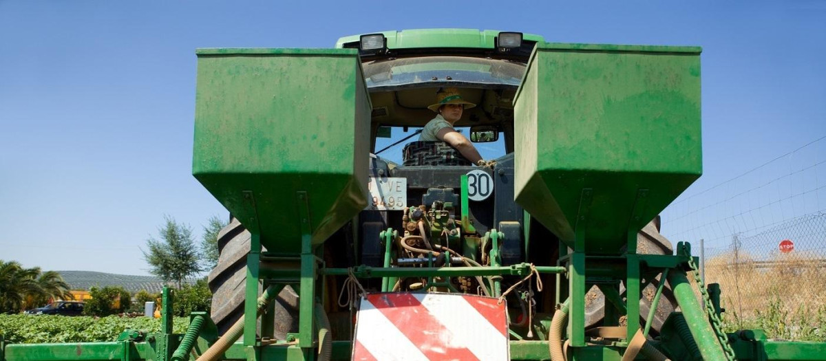 (Foto de ARCHIVO)
Nota De La Consejería De Agricultura, Pesca, Agua Y Desarrollo Rural (Jóvenes Agricultores)

REMITIDA / HANDOUT por JUNTA DE ANDALUCÍA
Fotografía remitida a medios de comunicación exclusivamente para ilustrar la noticia a la que hace referencia la imagen, y citando la procedencia de la imagen en la firma
11/8/2023