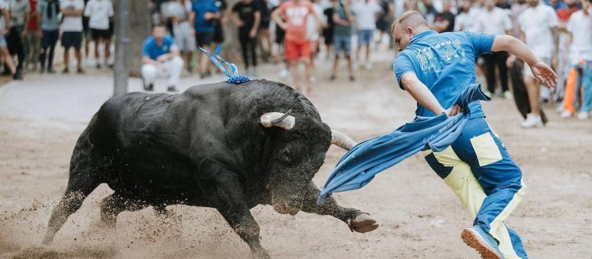 Imagen de los 'Bous al carrer' de las fiestas de la Misericordia en Burriana, Castellón