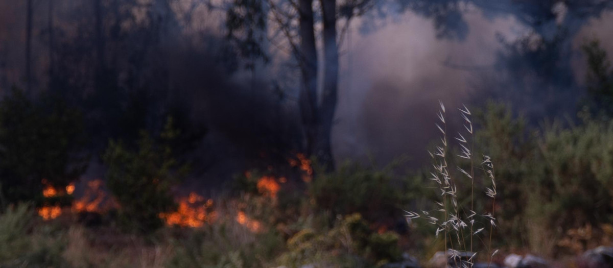 Una persona observa el fuego, a 5 de agosto de 2025, en Ponteceso, A Coruña, Galicia (España). Un nuevo incendio en el municipio coruñés de Ponteceso ha obligado este martes a desalojar a vecinos de la parroquia de Corme Aldea. Fuentes de la Consellería do Medio Rural explican a Europa Press que en la zona no pueden actuar medios aéreos "debido a las condiciones meteorológicas" en una jornada de fuerte viento del nordeste, lo que supondría "un riesgo" para los trabajadores.

Gustavo de la Paz / Europa Press
05 AGOSTO 2025;INCENDIO;FUEGO;GALICIA;GALIZA;
05/8/2025