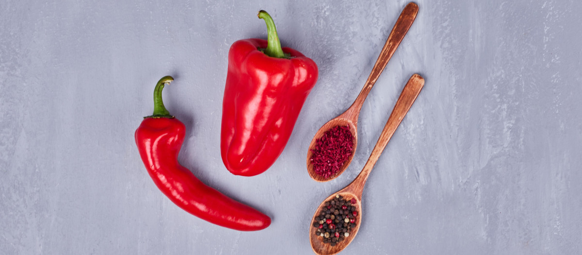 Red hot chilies with paprika and pepper in wooden spoons. High quality photo