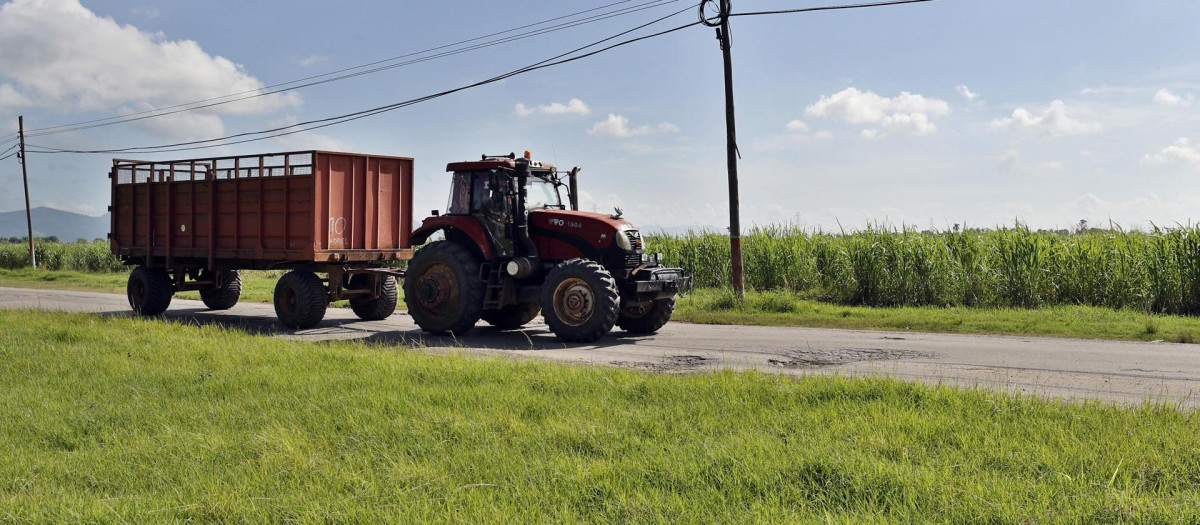 Un tractor pasa junto a una plantación de caña de azúcar este miércoles, en la provincia de Artemisa (Cuba)