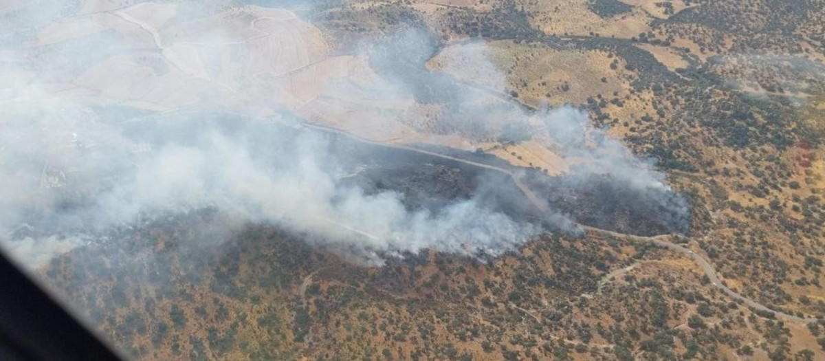 Foto aérea del incendio forestal de Navalmoralejo

REMITIDA / HANDOUT por INFOCAM
Fotografía remitida a medios de comunicación exclusivamente para ilustrar la noticia a la que hace referencia la imagen, y citando la procedencia de la imagen en la firma
11/8/2025
