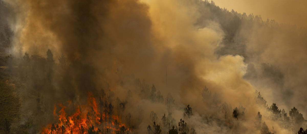 CHANDREXA DE QUEIXA (OURENSE), 09/08/2025.- El incendio forestal en Chandrexa de Queixa (Ourense) sigue avanzando, este sábado, con 450 hectáreas afectadas y, además, se mantienen activos otros dos incendios en Galicia y hay tres más controlados.EFE/ Brais Lorenzo