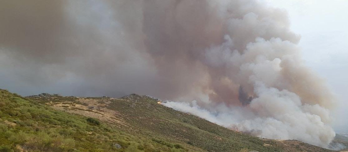 Incendio forestal en Jarilla