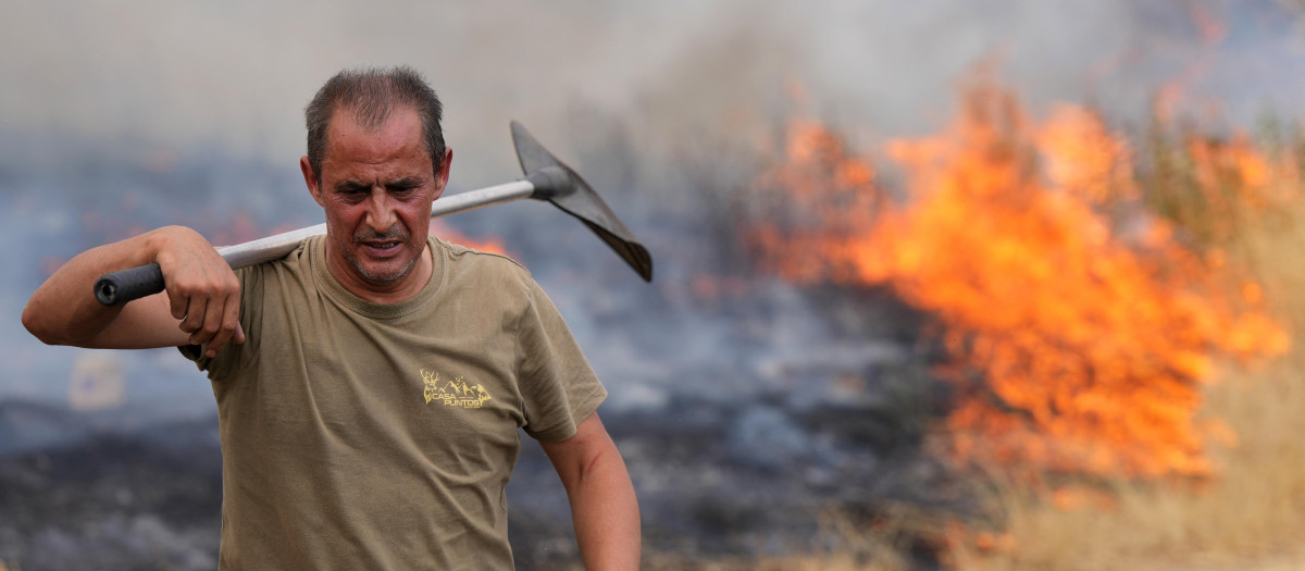 Cómo las políticas climáticas de Sánchez están agravando los incendios:  «Ignora la realidad del campo»