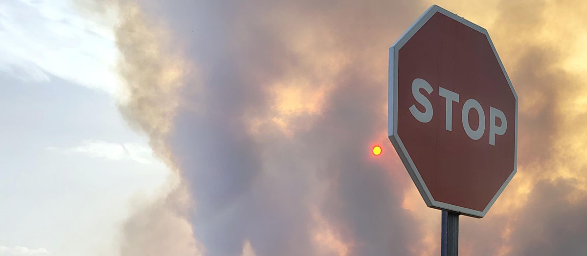 Incendio forestal en Molezuelas de la Carballeda (Zamora)