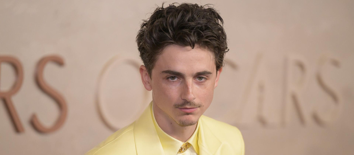 Timothée Chalamet, en la gala de los Oscar 2025