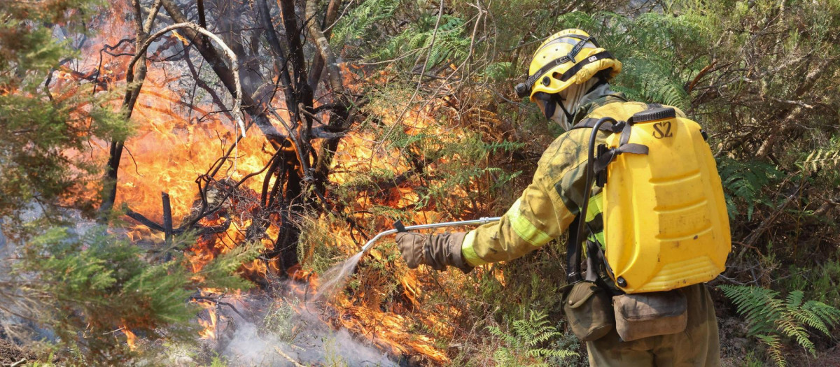 Incendios en Castilla y León