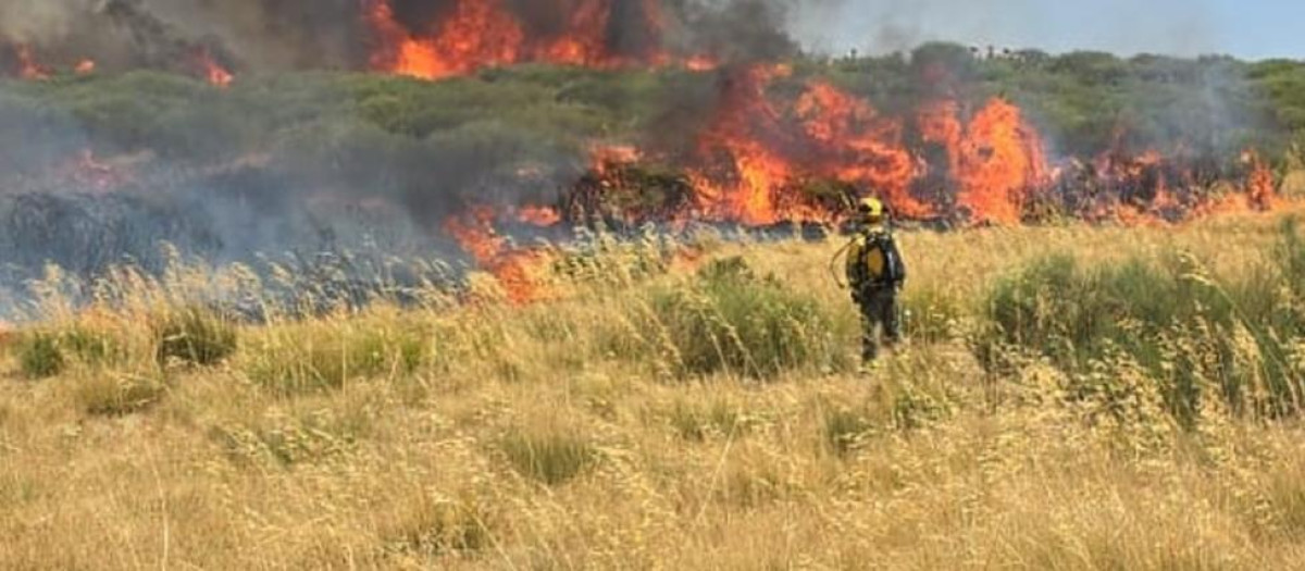 C-LM moviliza 7 medios aéreos y 27 efectivos para colaborar en los incendios en Galicia, Extremadura y CyL