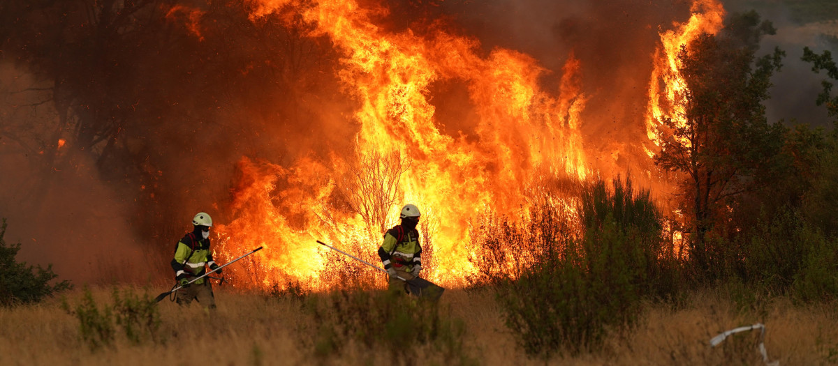 Los bomberos trabajan para extinguir un incendio forestal cerca de Losacio, al norte de Zamora, el 12 de agosto de 2025.