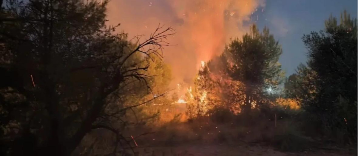 Incendio de Arganda (Madrid)