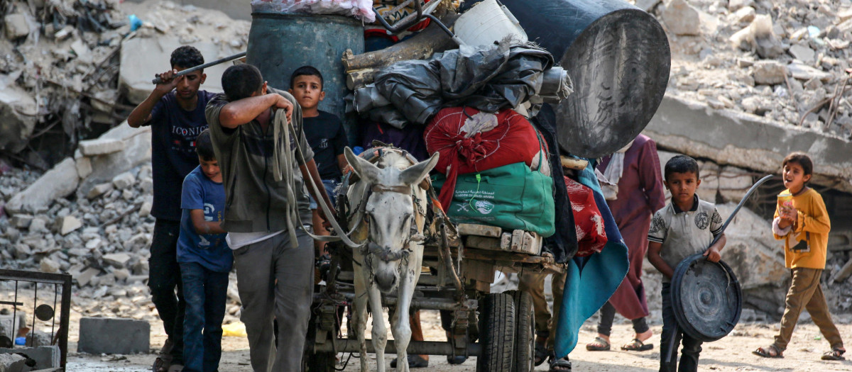 Una familia de Gaza transporta sus pertenencias en un burro