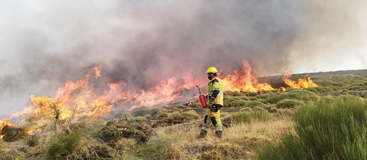 Bomberos forestales de la Generalitat Valenciana actúan en la provincia de León
