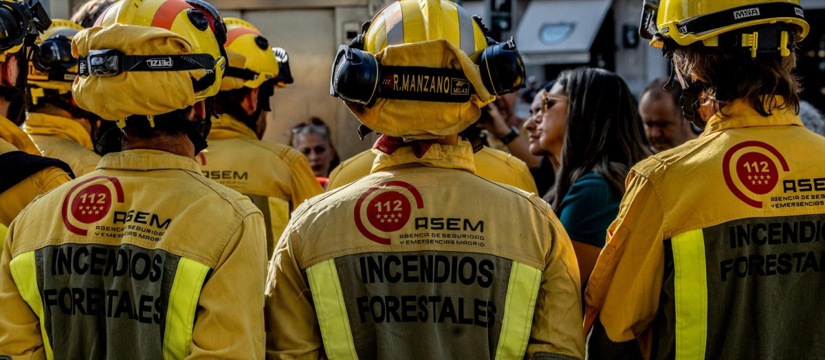 Varios bomberos forestales