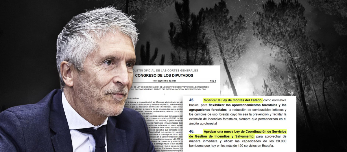 Montaje de Marlaska, el plan contra incendios del PP y la Ley de Coordinación