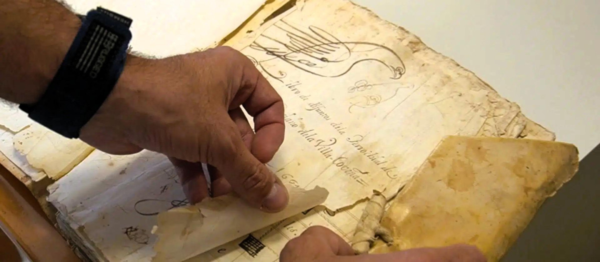 El magnífico ejemplar desapareció hace dos décadas