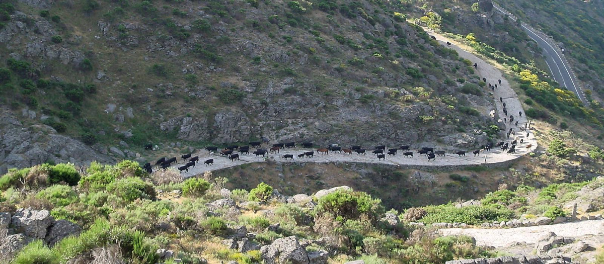 Puerto del Pico, en Ávila