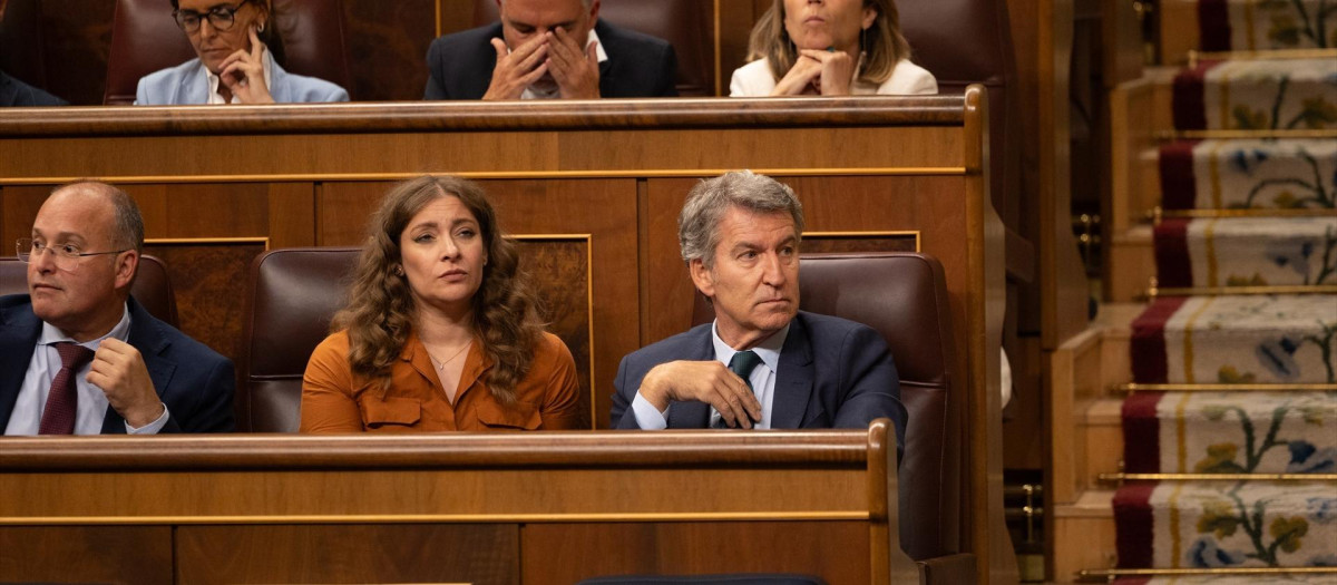 El secretario general del PP, Miguel Tellado; la portavoz del PP en el Congreso, Ester Muñoz y el presidente del PP, Alberto Núñez Feijóo, en el Congreso de los Diputados