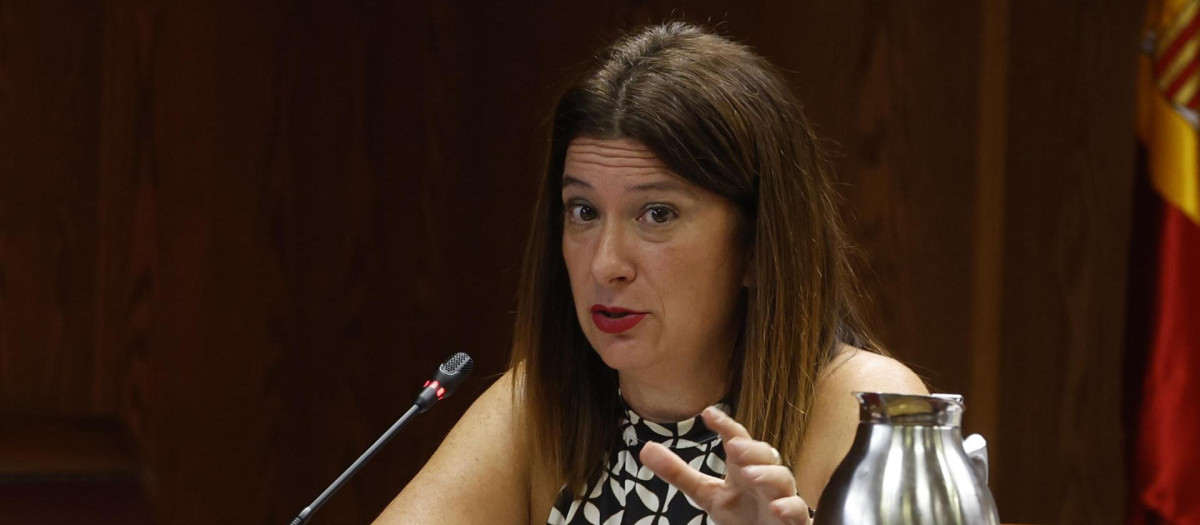 La exmilitante socialista Leire Díez, en el Senado