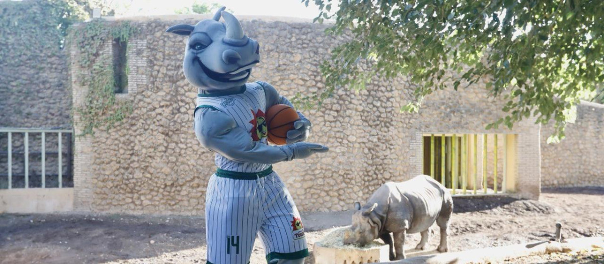 Maras, la nueva mascota del Coto Córdoba