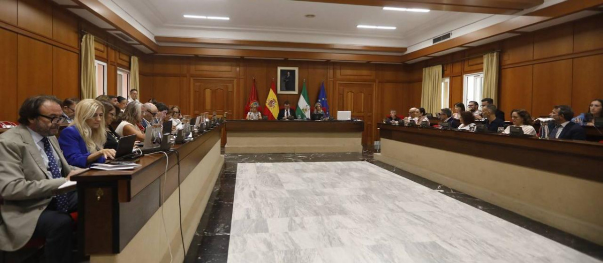 Pleno ordinario del Ayuntamiento de Córdoba