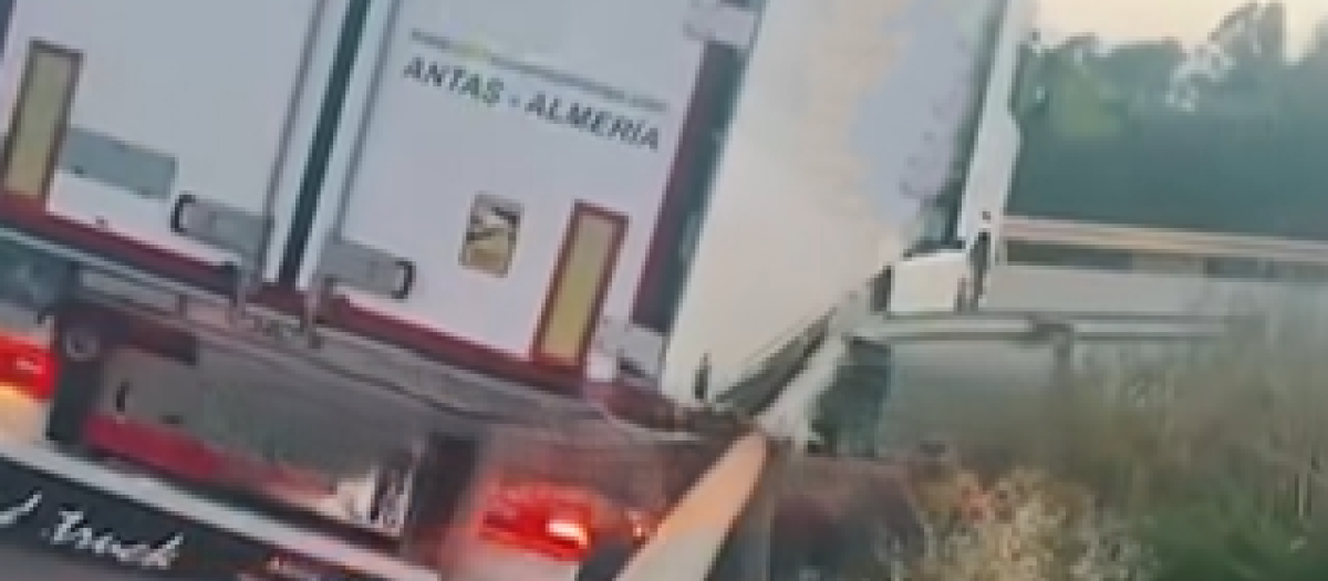 El estado en el que quedó el camión tras el accidente