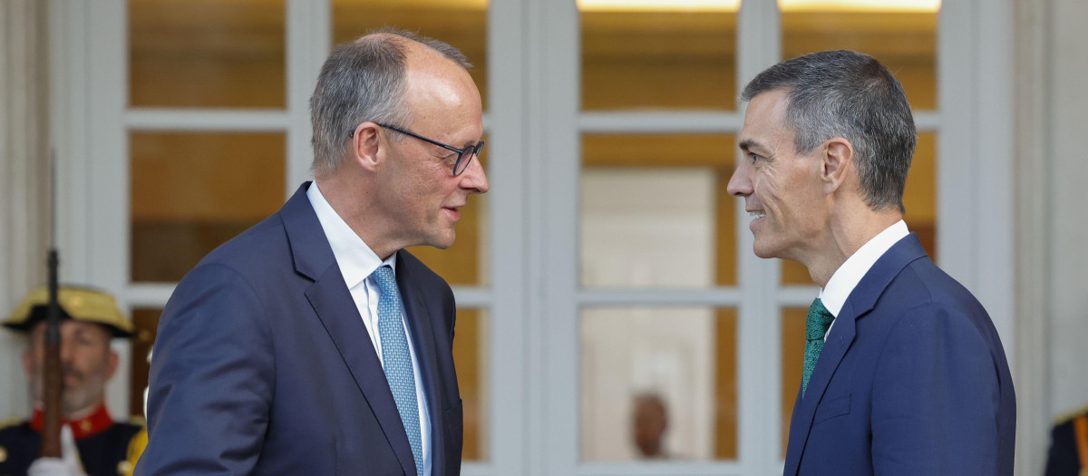 Friedrich Merz y Pedro Sánchez
