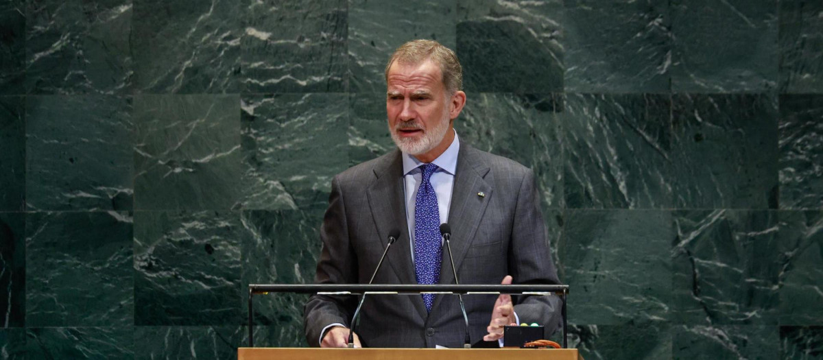 Don Felipe, ante la Asamblea General de Naciones Unidas