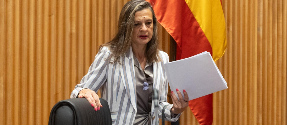 La delegada del Gobierno contra la Violencia de Género, Carmen Martínez Perza, comparece en el Congreso