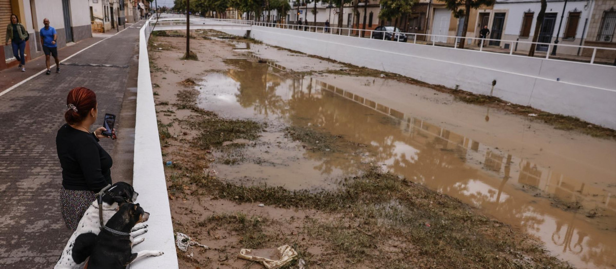 Imagen de una mujer y sus dos perros observando el barranco de La Saleta tras su desbordamiento, a 29 de septiembre de 2025, en Aldaia, Valencia