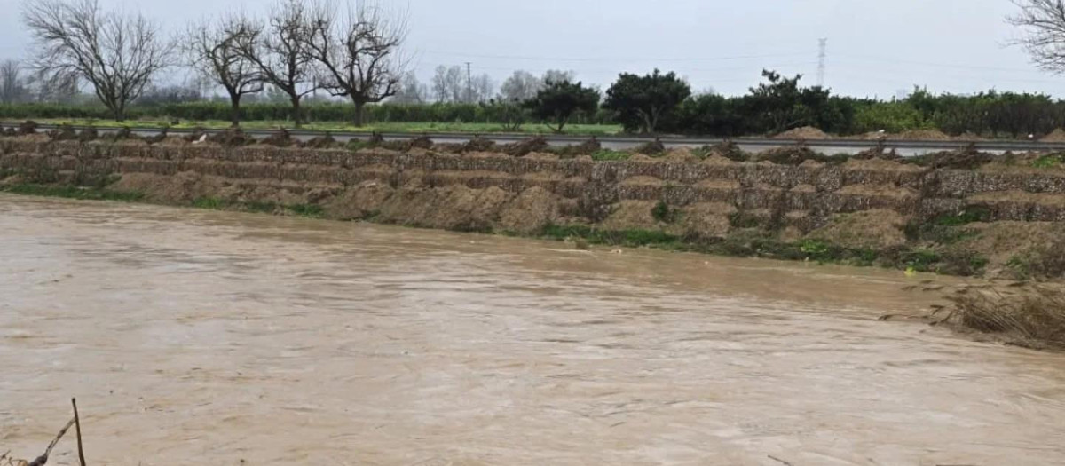 Imagen de archivo del río Magro a su paso por la localidad valenciana de Algemesí.