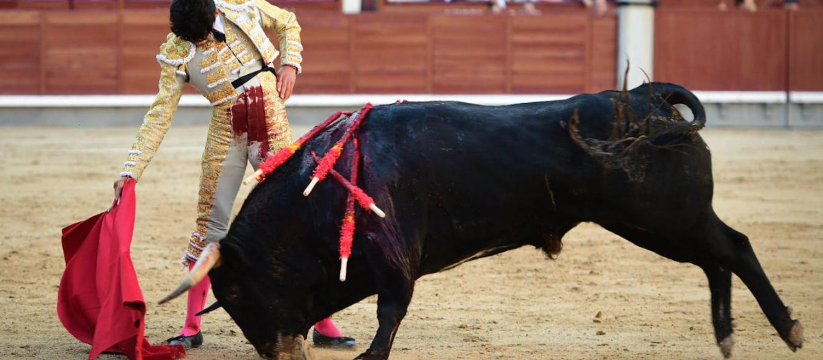 Emiliano Osornio, con el primer novillo de su lote, este jueves en las Ventas